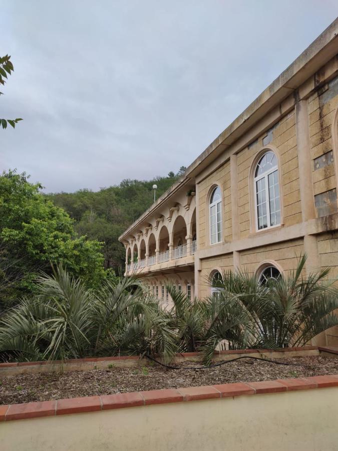 Joli Studio Du Vallespir Amélie-les-Bains-Palalda Εξωτερικό φωτογραφία